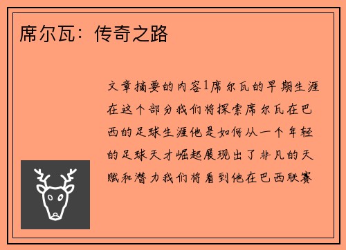 席尔瓦：传奇之路